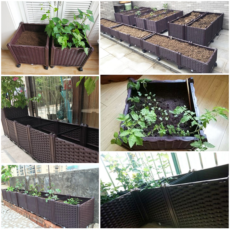 자동 급수 기능이 있는 높이 조절형 화분, 배수 구멍이 - Self-Watering Planter 리뷰 및 가격